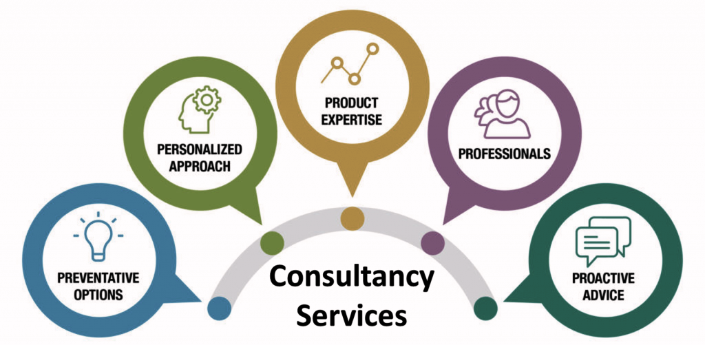 Business consultancy services cambodia